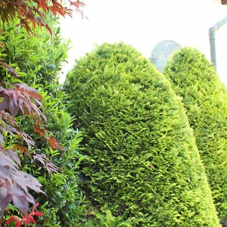 Wanderhotel Garni Cresta Schruns Bagian luar foto